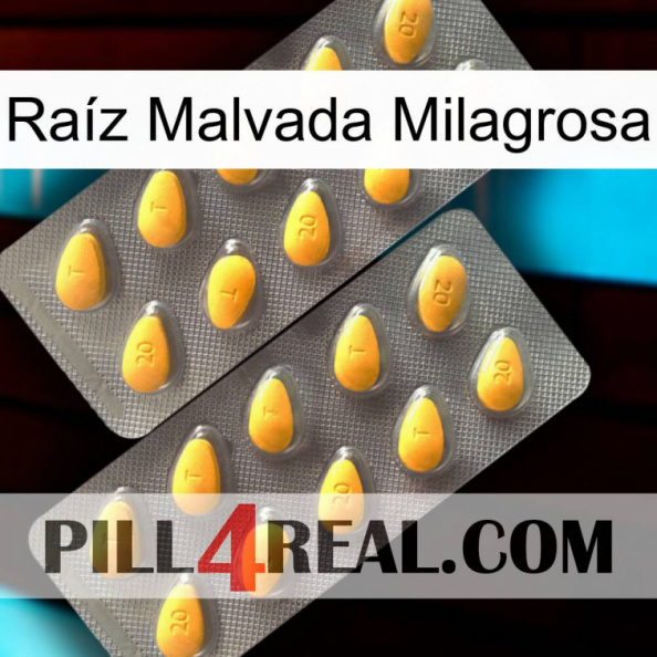 Raíz Malvada Milagrosa cialis2.jpg